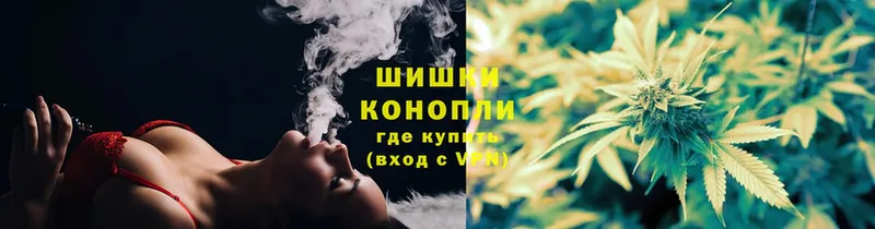 MEGA вход  Кодинск  Шишки марихуана Amnesia 